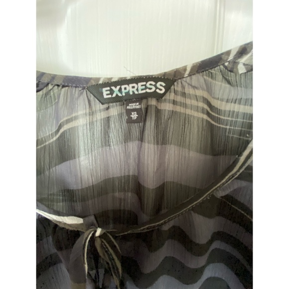 Express Sheer Top 🦓 - Picture 4 of 5